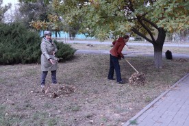 Помощники депутатов и сотрудники аппарата Думы присоединились к общегородскому субботнику